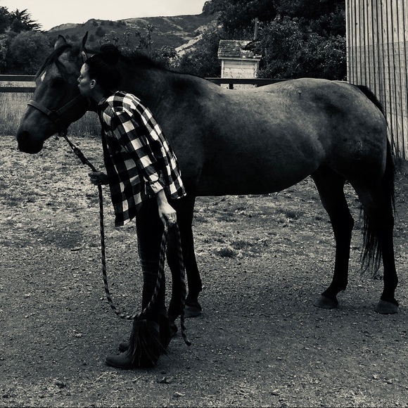 Meet your Posher, Willow - Picture 3 of 8